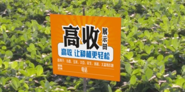 天博体育官网- 阿尔特塔轮换策略收奇效  